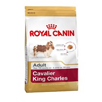 Obrázok Granule Royal Canin Breed Kavalír King Charles 1,5kg 35018