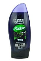 Obrázok Radox Men Feel Wild blackberry & ginger 2v1 250 ml (8710522406601)