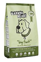 Obrázok BARKING HEADS Big Foot Bad Hair Day 12kg