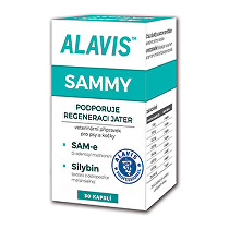 Obrázok ALAVIS SAMMY 30TBL