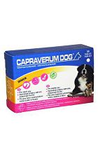 Obrázok CAPRAVERUM DOG senior 30tbl