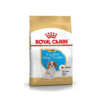 Obrázok Royal Canin Breed Kavalír King Charles Junior  1,5kg