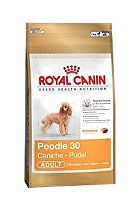 Obrázok Granule Royal Canin Breed Pudl 500g 35012