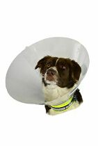 Ochranný obojok BUSTER plast Classic Collar 25cm