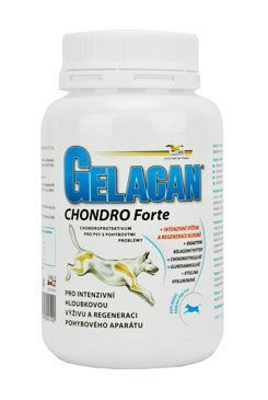 Gelacan Chondro Forte 150g