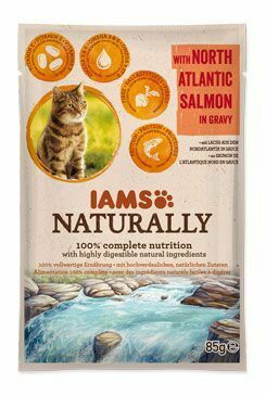 Iams Cat losos v omáčke 85g