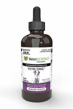 VetriScience Vetri DMG Liquid 30ml