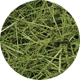 Lúčne seno RabbitWeed 1kg