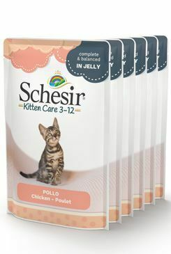 Schesir Mačacia kapsa Kitten chicken 6X85g