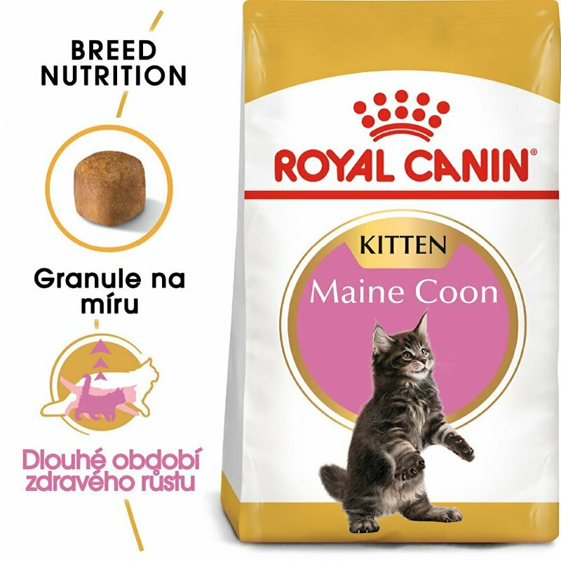 Royal canin Breed Feline Kitten Maine Coon 10kg