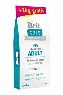 Brit Care Dog Grain-free Adult Salmon & Potato 12+2kg