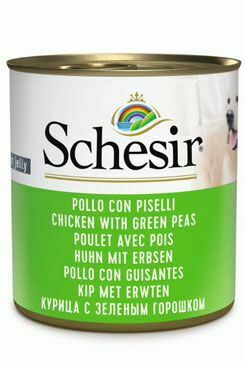 Schesir Dog Cons. Kuracie mäso/hrášok pre dospelých 285g