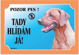 Tabuľka Tu strážim! Rhodésky ridgeback 1ks