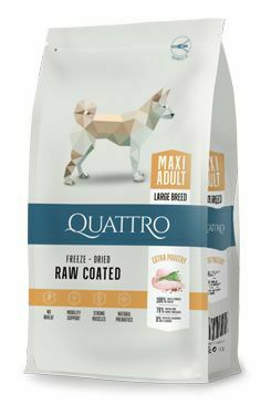 QUATTRO Dog Dry Premium Maxi Adult 3kg