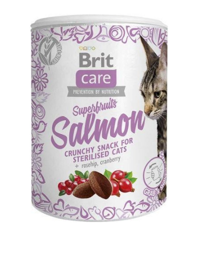 Brit Care Cat Snack Superfruits Salmon 100g