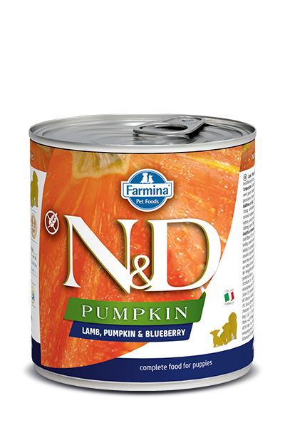 N&D DOG PUMPKIN Puppy Lamb & Blueberry 285g