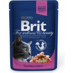 Brit Premium Cat vrecko with Salmon & Trout 100g