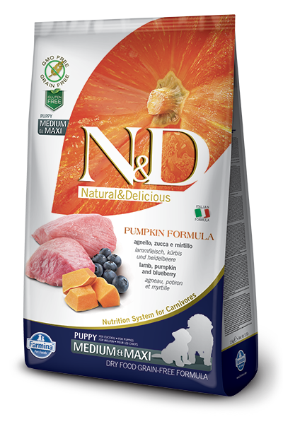 N&D Pumpkin DOG Puppy M/L Lamb & Blueberry 2,5kg