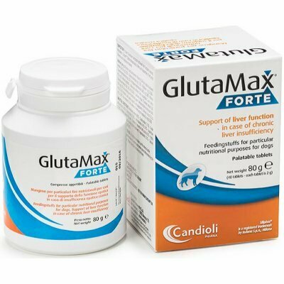 Glutamax forte 20 tbl