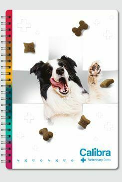 Calibra - VD notebook VD snacks A5 - ENG